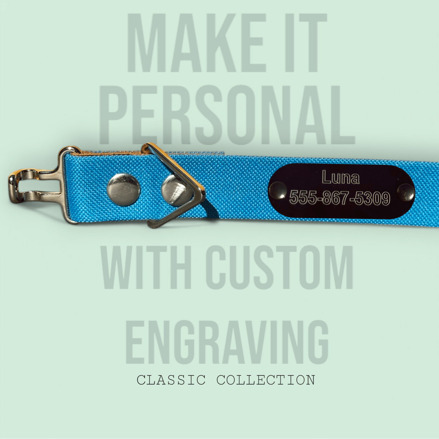 Turquoise - Classic Collar - hundhaus.dog