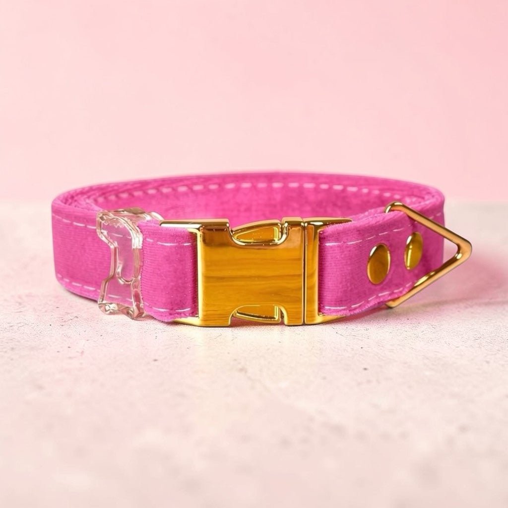 Luxe Collection AirTag dog collar